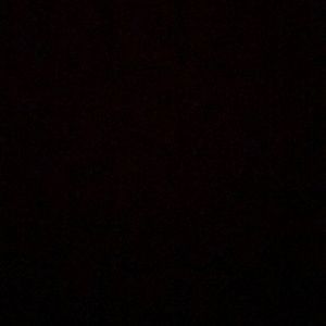 Meet your Posher, Gary